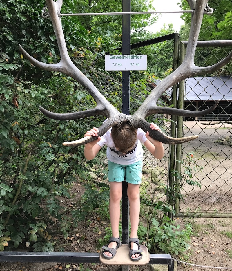 Geweih über Kind im Tierpark Hagenbeck in Hamburg | Mehr Infos auf Mamaskind.de