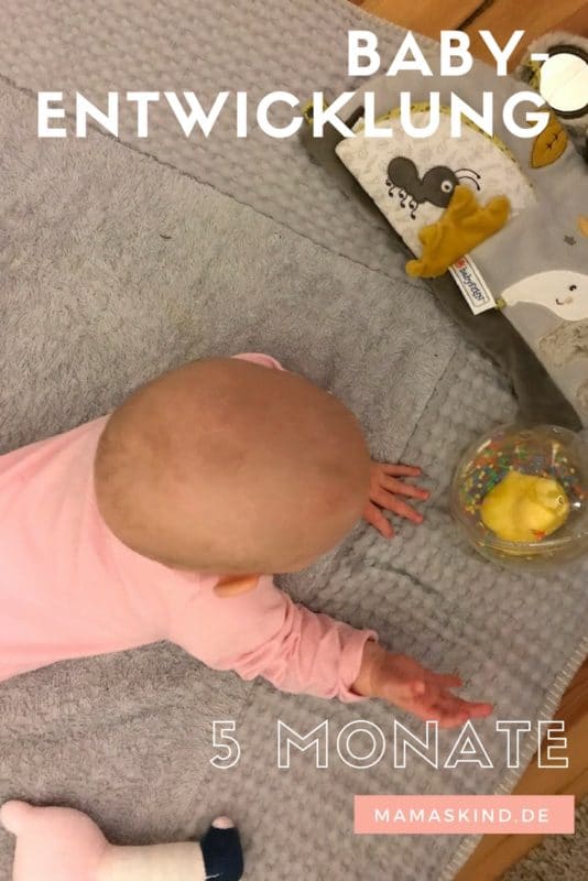 Mein Baby-Mädchen mit 5 Monaten und ihre Entwicklungsschritte: fast robben, greifen, brabbeln | Mein Bericht über die Baby-Entwicklung mit fünf Monaten | Mehr Infos auf Mamaskind.de #Babyentwicklung #Entwicklung #Baby