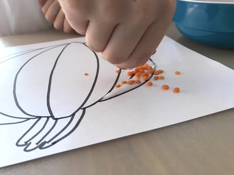 Schritt 3: Kreativ werden! Linsen auf den Kleber streuen Basteln mit Kindern im Herbst - Linsen-Bilder kleben | Mehr Infos auf Mamaskind.de 