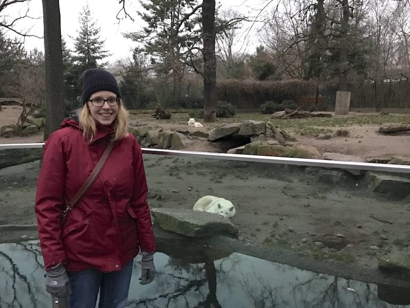 Gefallen mir: die Wölfe im Zoo Berlin. | Mehr Infos auf Mamaskind.de