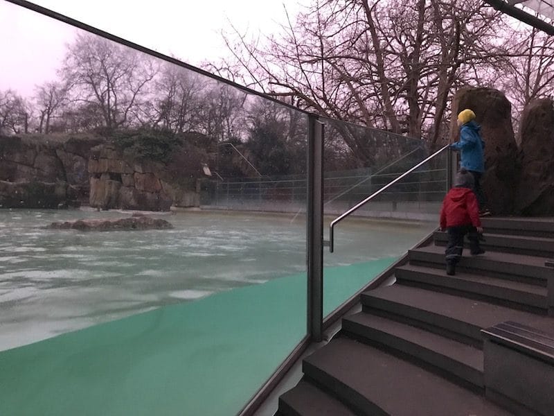 Wir besuchen die Seelöwen im Zoo. Wir und nur wenige andere. | Mehr Infos auf Mamaskind.de