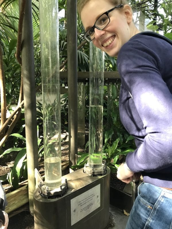 Wasser pumpen in der Biosphäre - wie die Bäume. | Mehr Infos auf Mamaskind.de