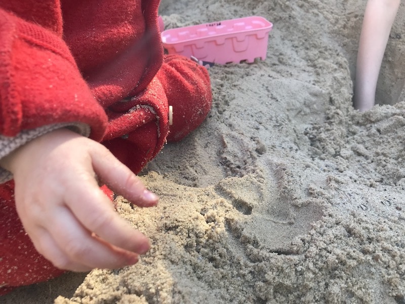 Baby Püppiline spielt mit 12 Monaten im Sand und probiert alles aus. | Mehr über Baby-Entwicklung mit 12 Monaten auf Mamaskind.de