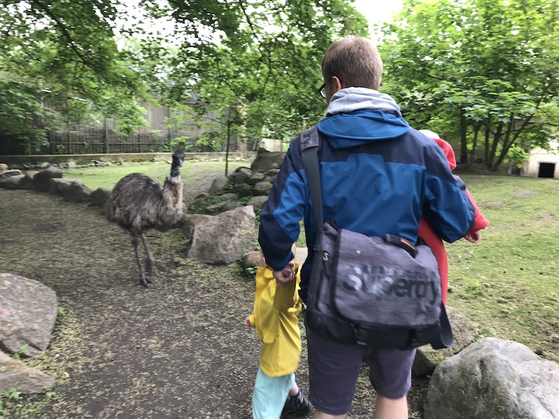 Gehege mit Kängurus und Emus zum betreten. Und schnell weg! | Mehr Infos auf Mamaskind.de