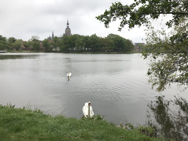 Blick auf die Altstadt in Stralsund am Wasser | Mehr Infos zum Urlaub mit Kindern in Stralsund auf Mamaskind.de