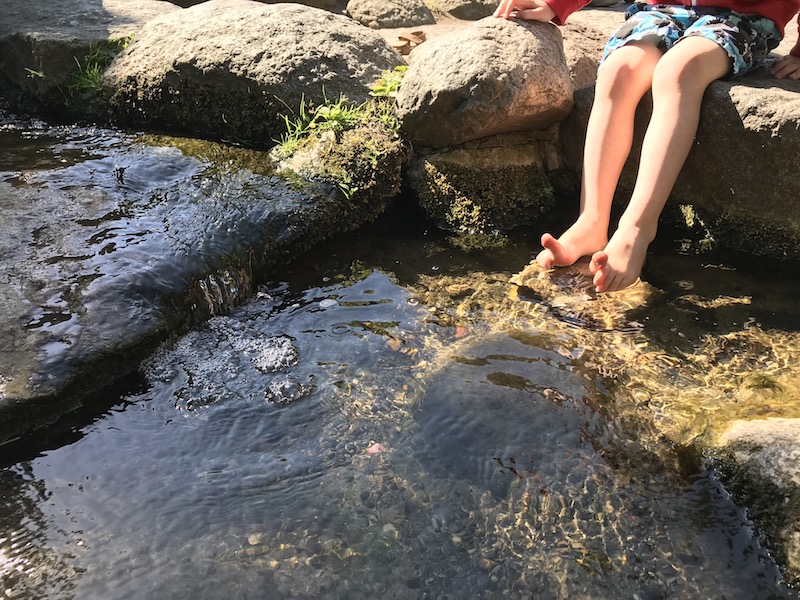 Wir entdecken den Zoo neu. Die Kinder barfuß im Wasser. | Mehr Infos auf Mamaskind.de