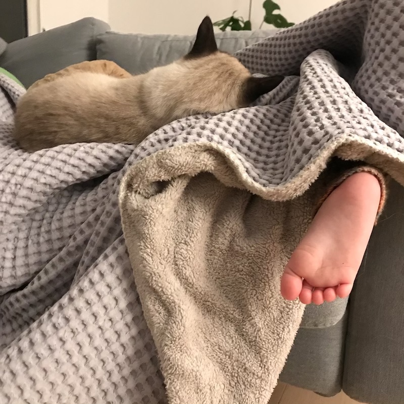 Irgendwann schläft jedes Kind. Mit Katze. Wer kuscheln hier mit wem? | Mehr Infos auf Mamaskind.de