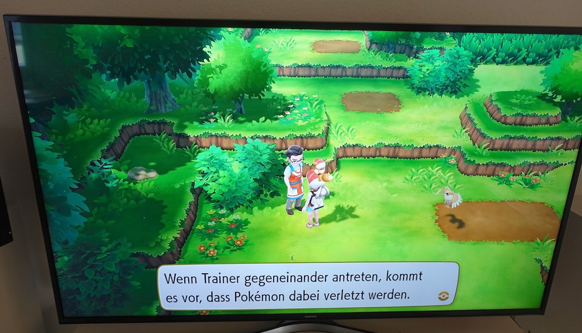 Ich erkunde die Pokémon-Welt auf Nintendo Switch im Vertania-Wald | Mehr Infos zu Pokémon: Let's Go, Evoli auf Mamaskind.de