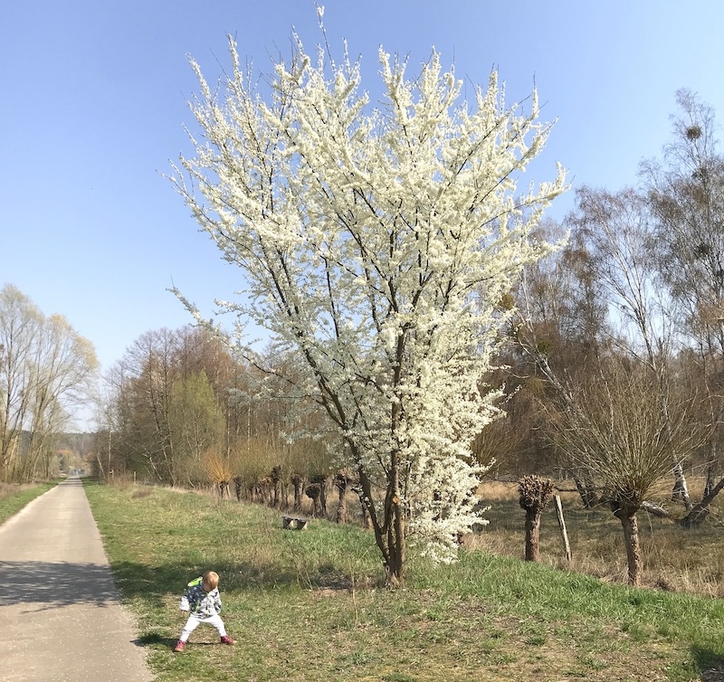 Püppiline bummelt unter schönen Bäumen. | Mehr Infos auf Mamaskind.de