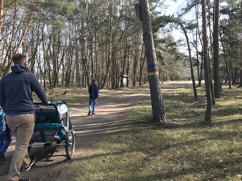Wir entdecken die verschiedenen Wald-Pfade im Naturpark Nuthe-Nieplitz. | Mehr Infos zum Naturpark in Trebbin auf Mamaskind.de