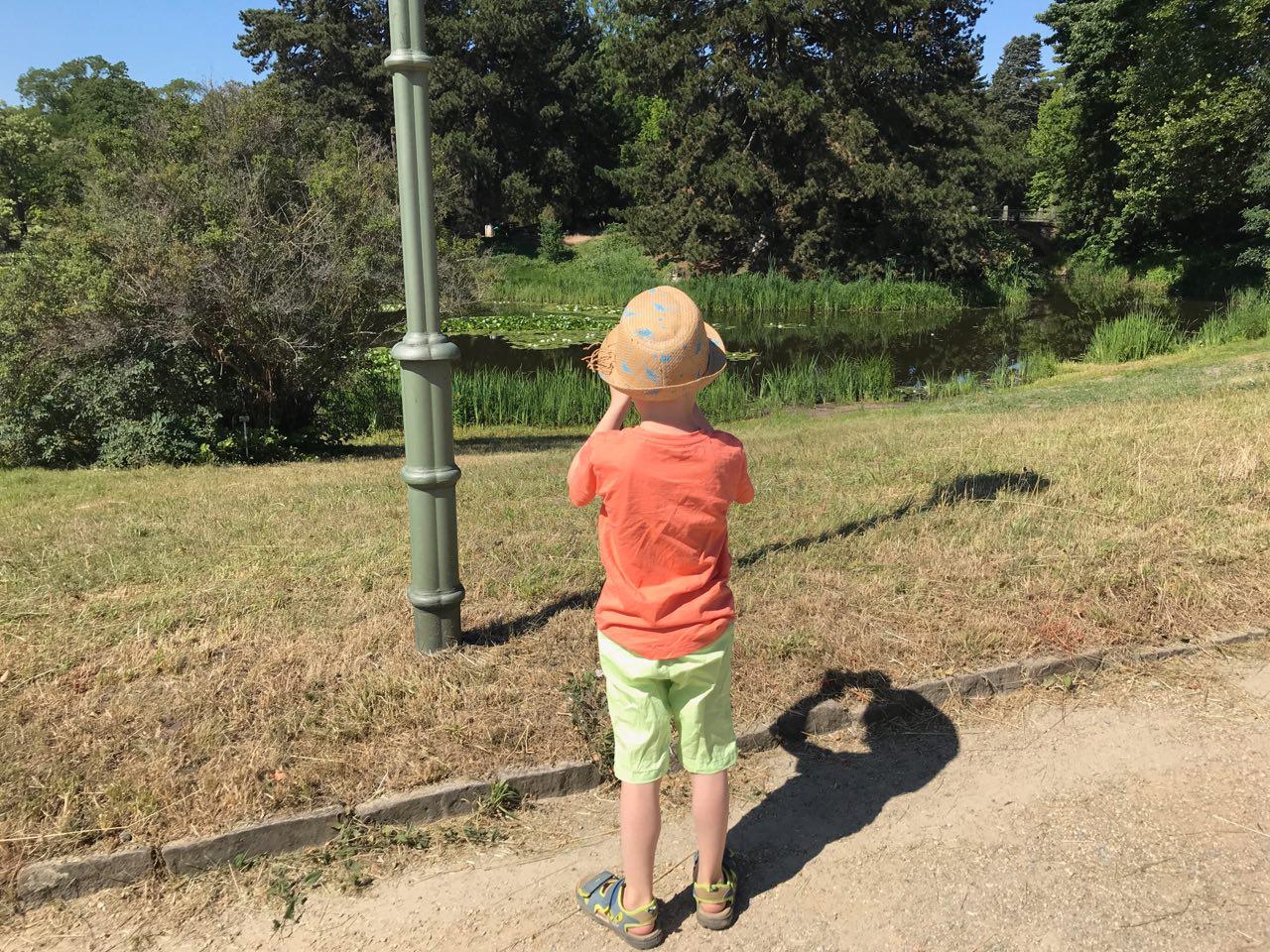 Der 5-Jährige fotografiert mit seiner Kamera und ist richtig glücklich damit. Überhaupt ist er sehr glücklich. - Mehr Infos auf Mamaskind.de