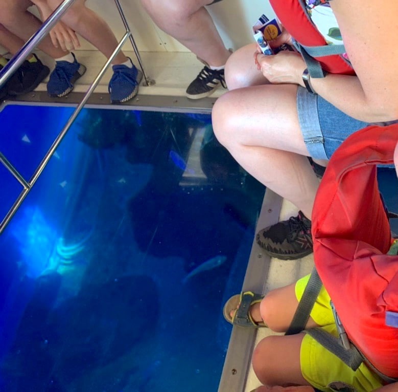 Man sitzt eng zusammen: Shark Boat im Aquarium auf Palma de Mallorca. - Mehr Infos zu Mallorca mit Kindern auf Mamaskind.de