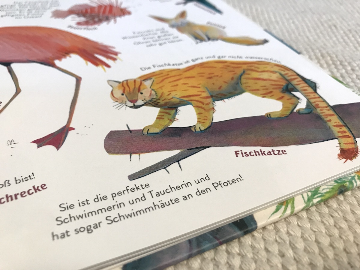 Ein Blick auf die tollen Illustrationen der Tiere. Fischkatzen kannte ich noch nicht! - Mamaskind.de