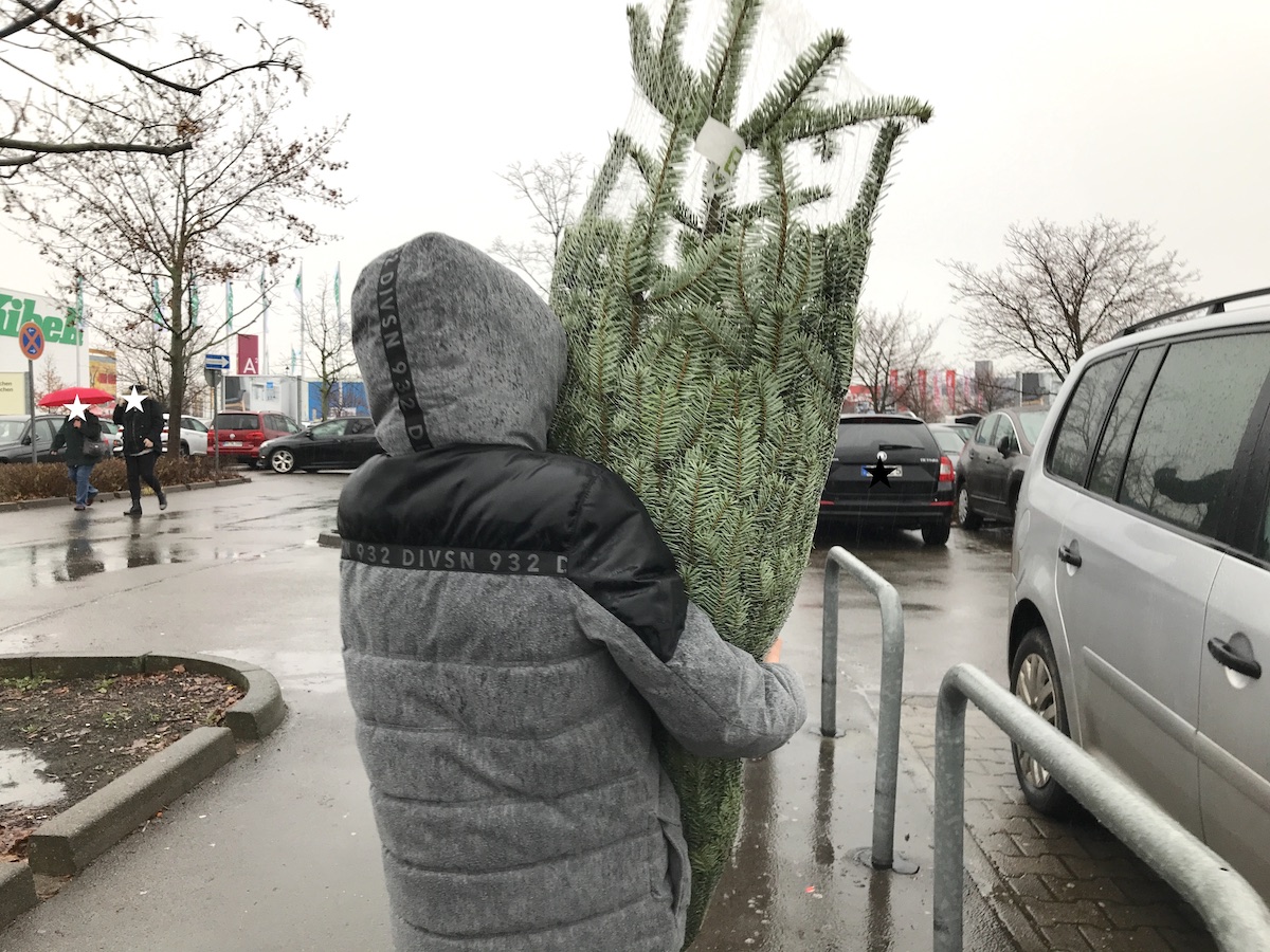 Sohn 1.0 trägt den Weihnachtsbaum, der sogar samt Einkauf ins Auto passt. - Mamaskind.de
