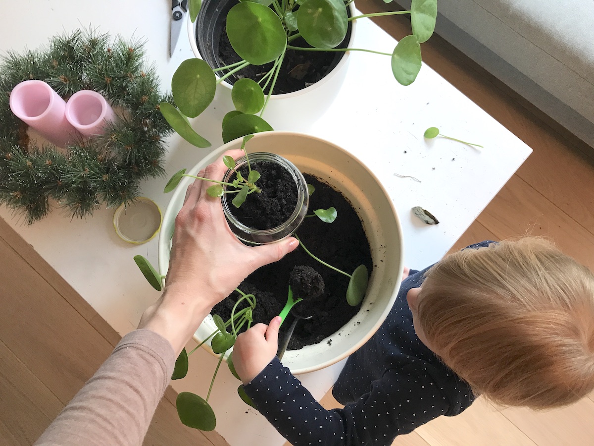 Mit selbstgemachten Geschenken anderen eine Freude machen: z. B. mit selbstgezogenen Pflanzen - Mehr dazu auf bitte.kaufen