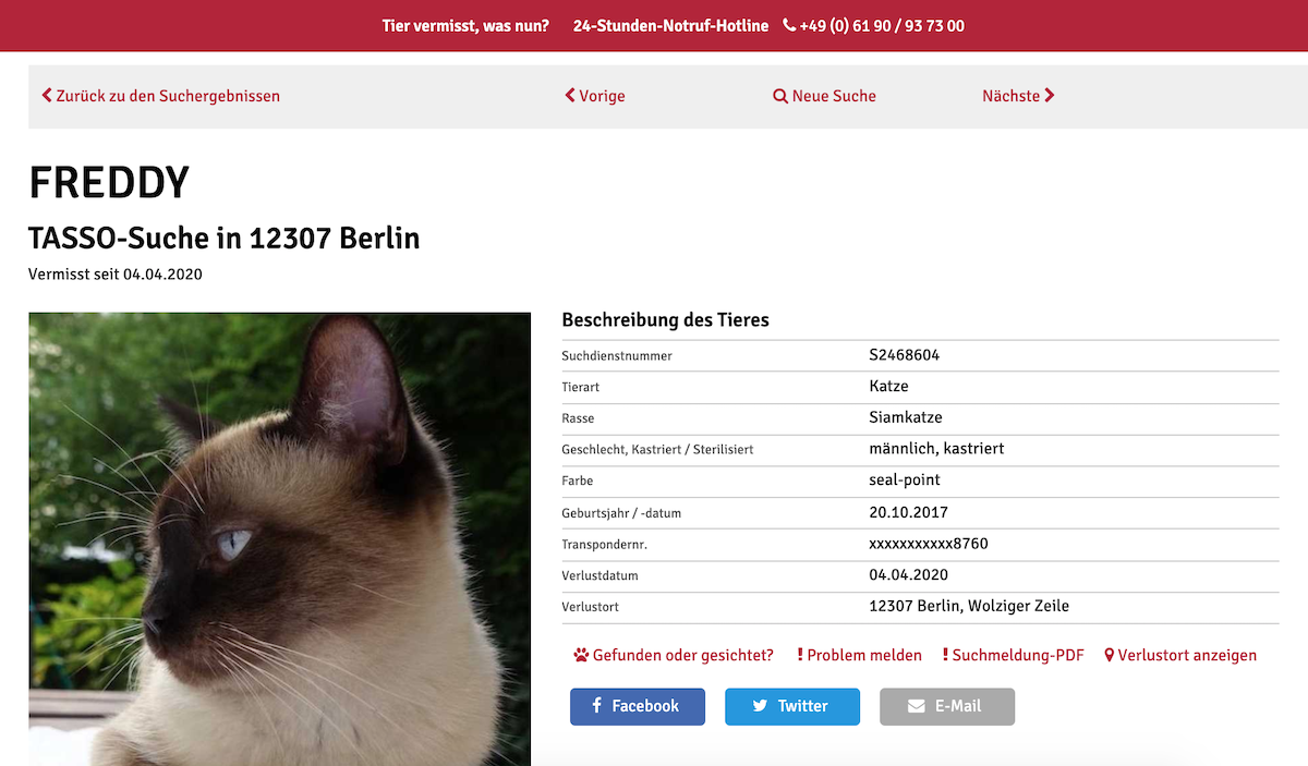 Screenshot: Katze vermisst mit Beschreibung - tasso.net - Mamaskind.de