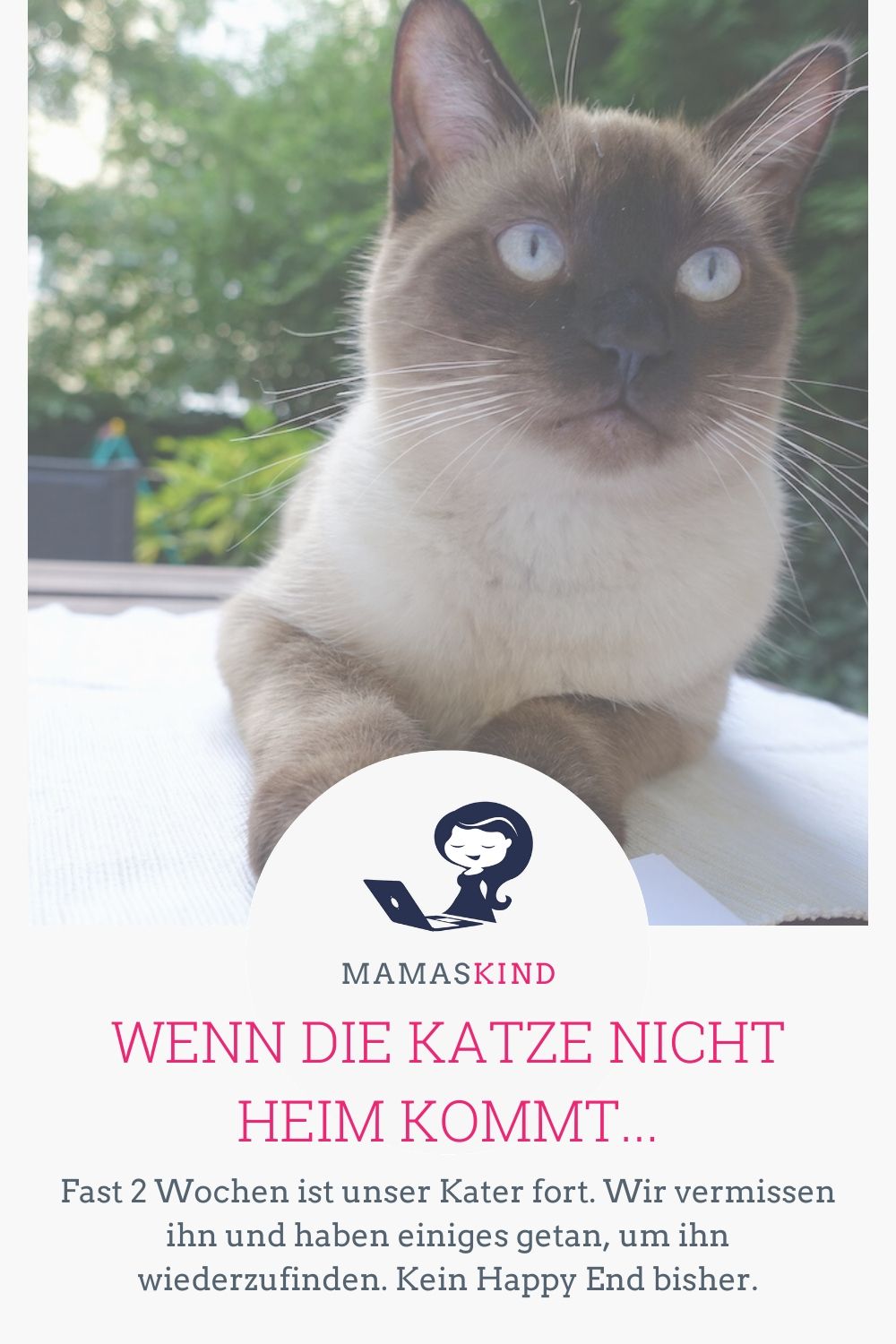Unsere Katze kam nicht nach Hause bitte.kaufen