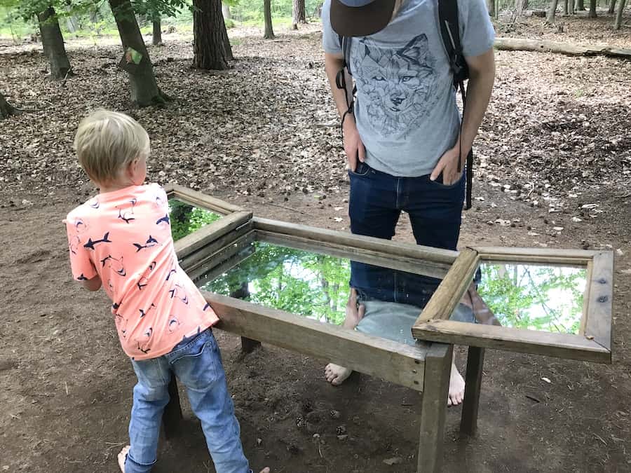 Wir schauen mit dem Spiegel in die Baumkronen - Mamaskind.de