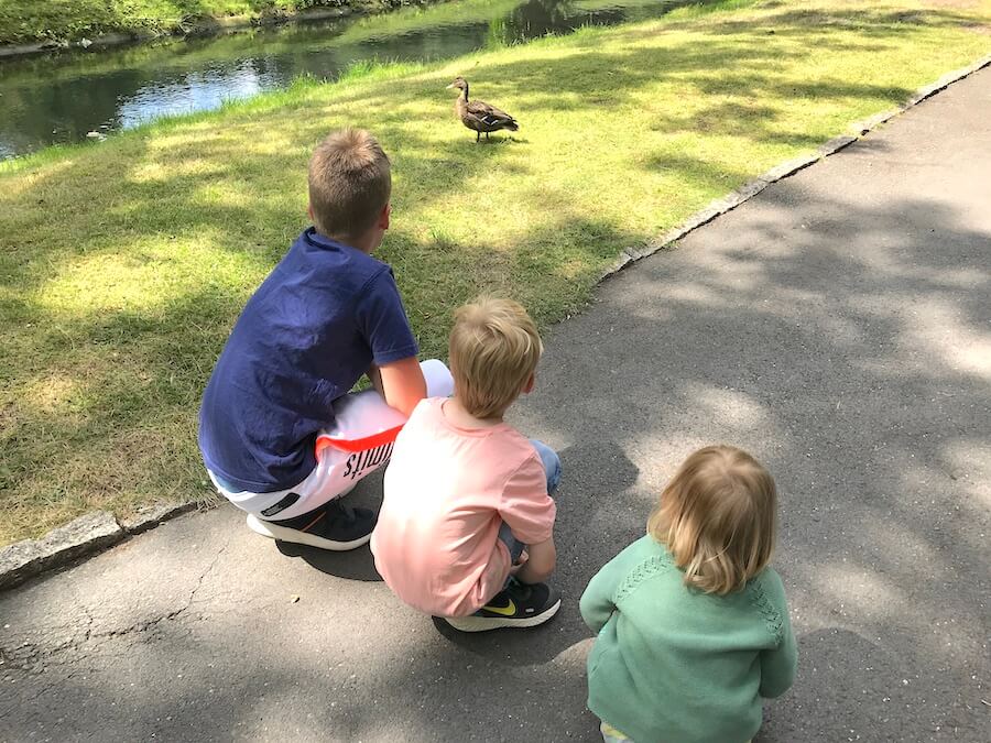 Drei Kinder und die Ente. Freilaufende Tiere sorgen für Begeisterung. - Mamaskind.de