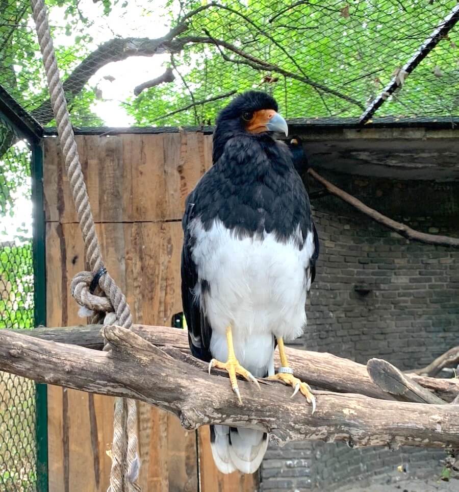 Faszinierender Vogel im Tierpark - Mamaskind.de