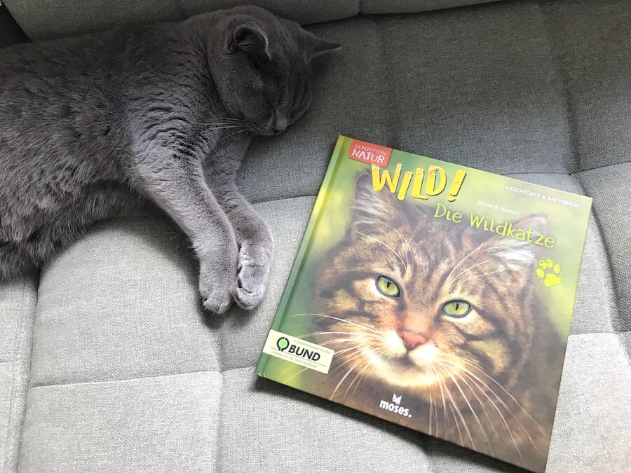 Wild! Die Wildkatze aus dem moses. Verlag - Mamaskind.de