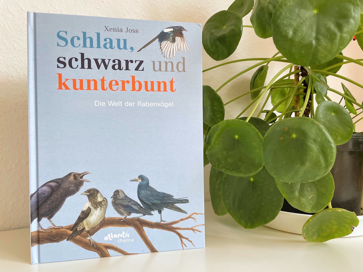 Schlau, schwarz und kunterbunt - Die Welt der Rabenvögel - Mamaskind.de