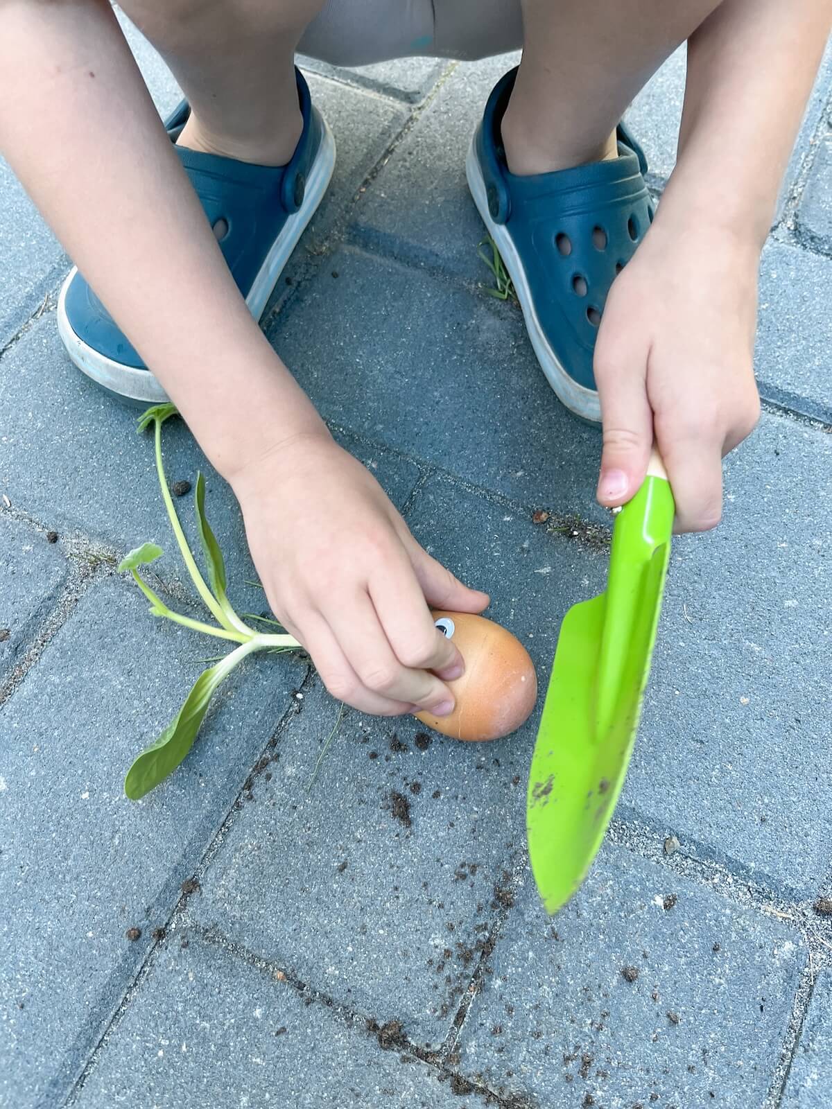 Eierschale vorsichtig entfernen – bitte.kaufen