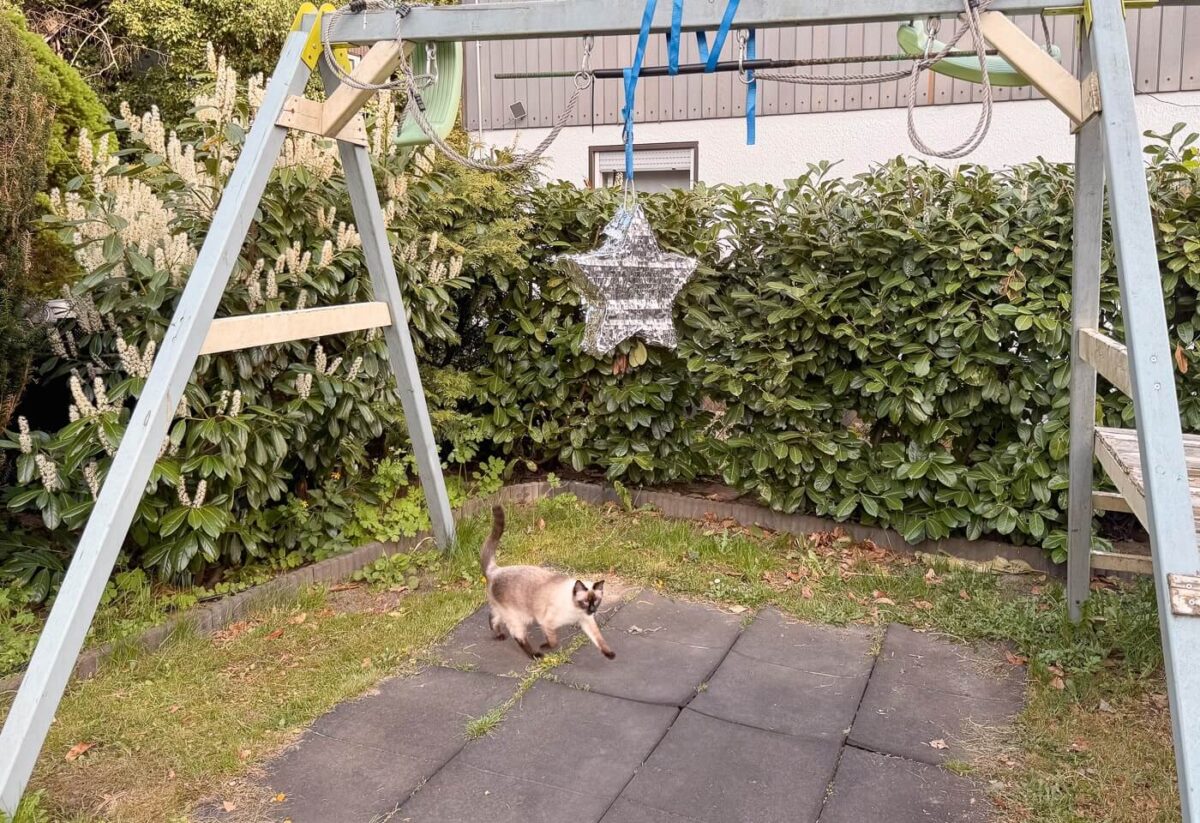 Stern-Piñata für Kinder mit Siamkatze Lilly